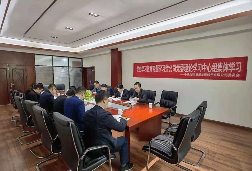公司黨委深入一線(xiàn)開(kāi)展黨史學(xué)習教育