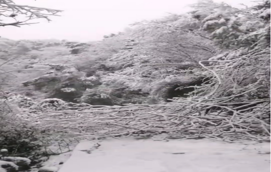 戰暴雪、保供電！湖南發(fā)展鳥(niǎo)兒巢公司應對極端天氣緊急搶修失電故障