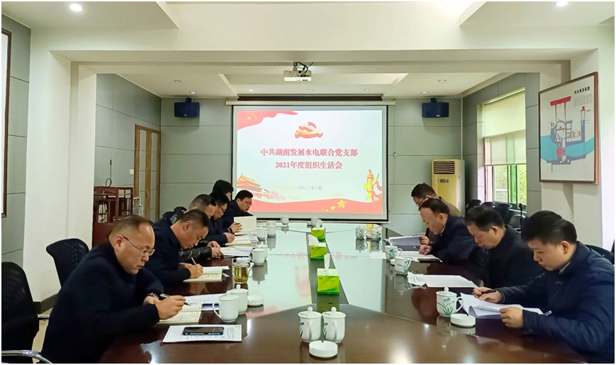 水電聯(lián)合黨支部召開(kāi)2021年度組織生活會(huì )