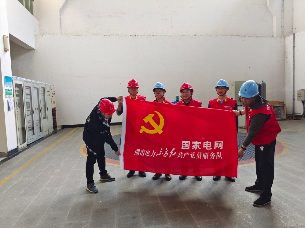 鳥(niǎo)兒巢公司黨支部與國網(wǎng)懷化供電公司電力調控中心黨支部開(kāi)展黨建聯(lián)建活動(dòng)