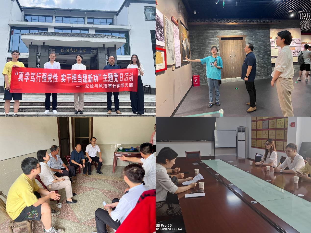 湖南發(fā)展紀檢與風(fēng)控審計部黨支部開(kāi)展“真學(xué)篤行強黨性 實(shí)干擔當建新功”主題黨日活動(dòng)